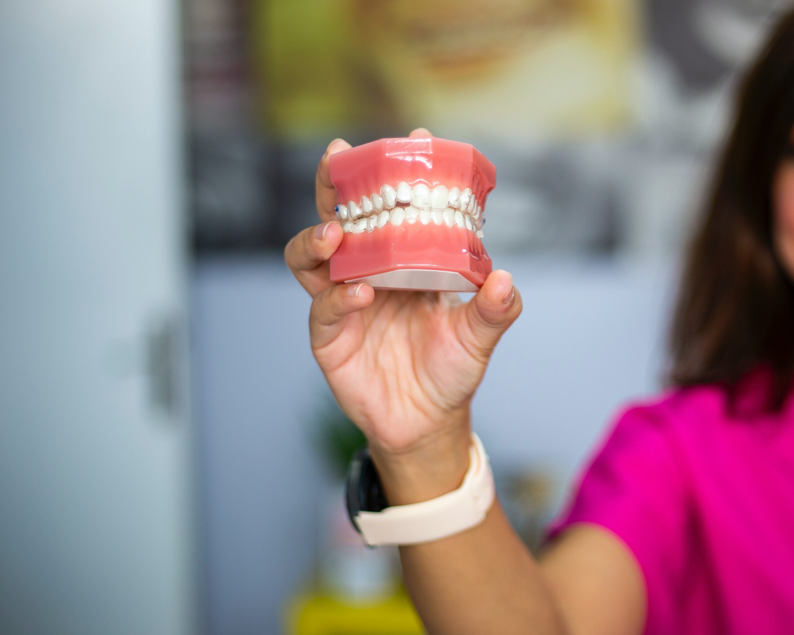 Model of teeth and gums